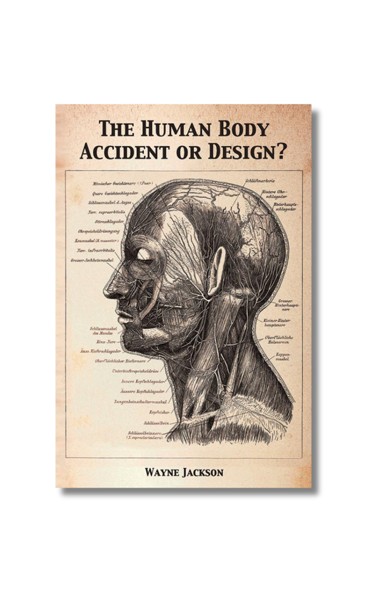 The Human Body - Accident or Design?