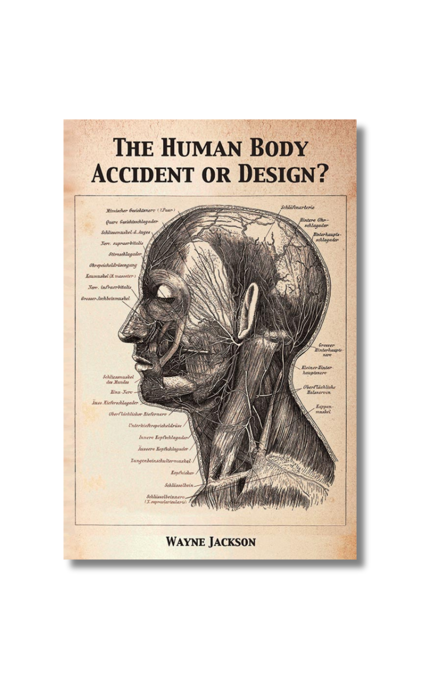 The Human Body - Accident or Design?