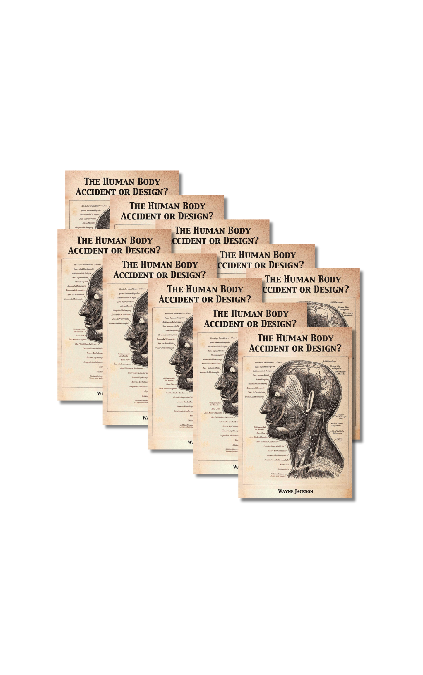 SAVE 25% - The Human Body - Accident or Design? - 10 Count